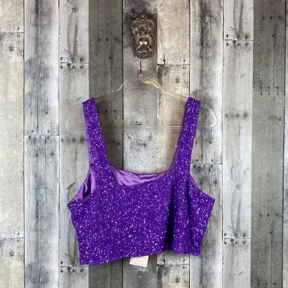 NWT Show Me Your MuMu Tara Crop Top in Violet Sequins Size XXL. - Picture 3 of 14